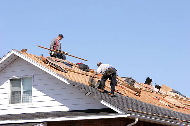 Best Solar Panel Roofing Installation  in Fremont, MI