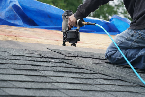 Best Metal Roofing Installation  in Fremont, MI