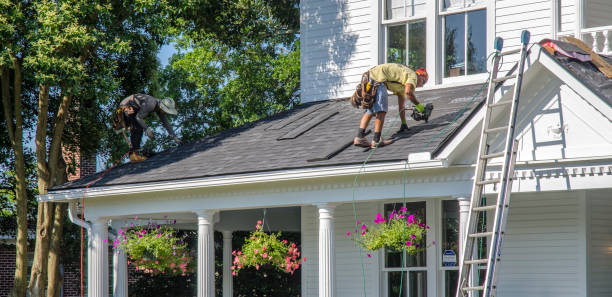 Best Roof Replacement  in Fremont, MI